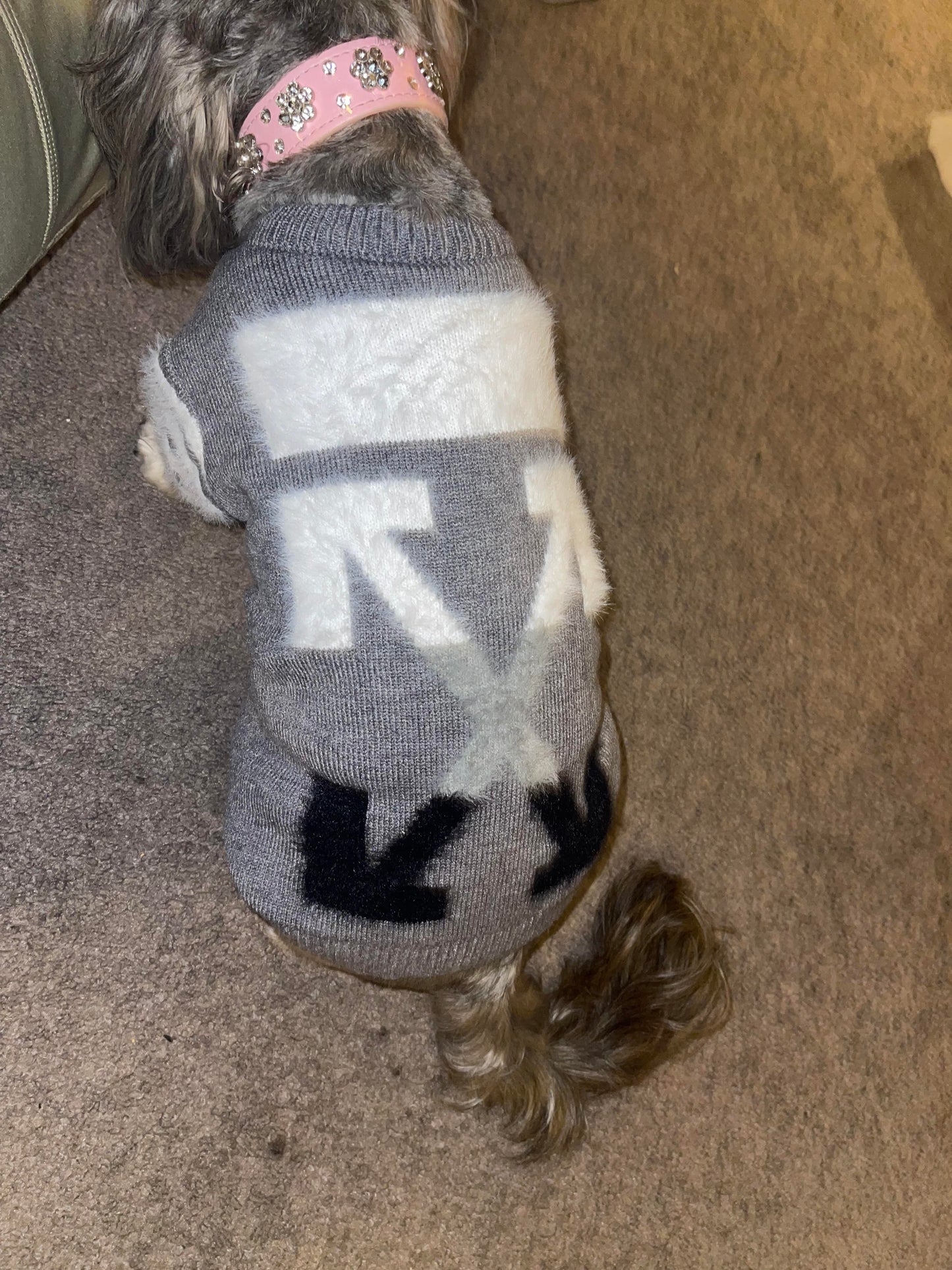Woof Dog Sweater
