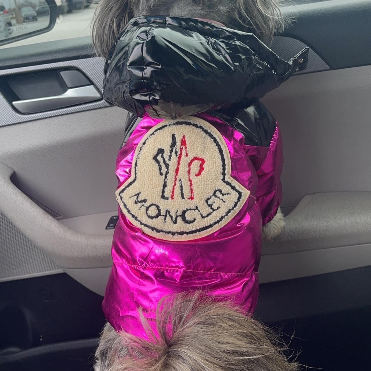 Petcler Coat