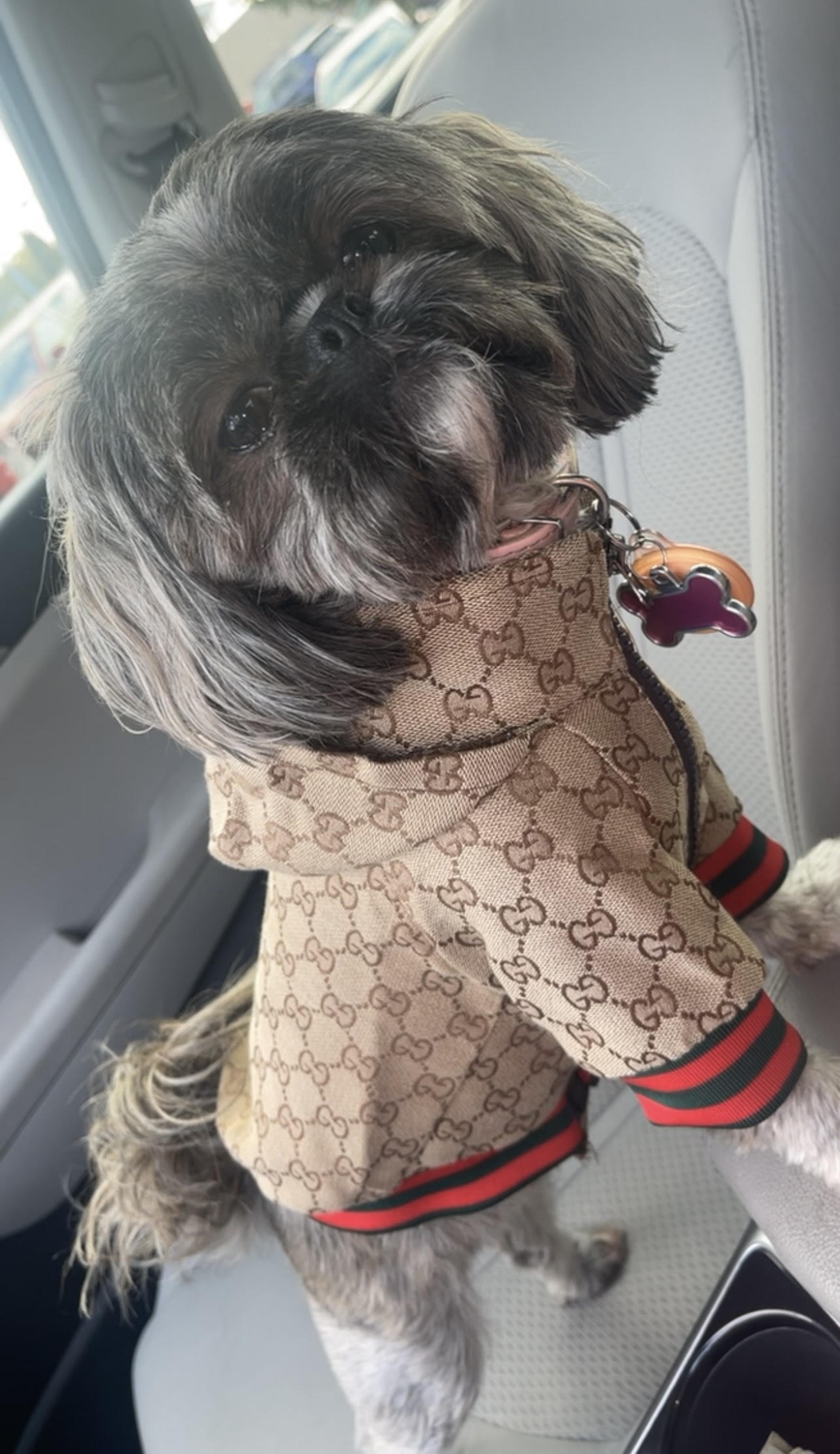 Pucci Hoodie