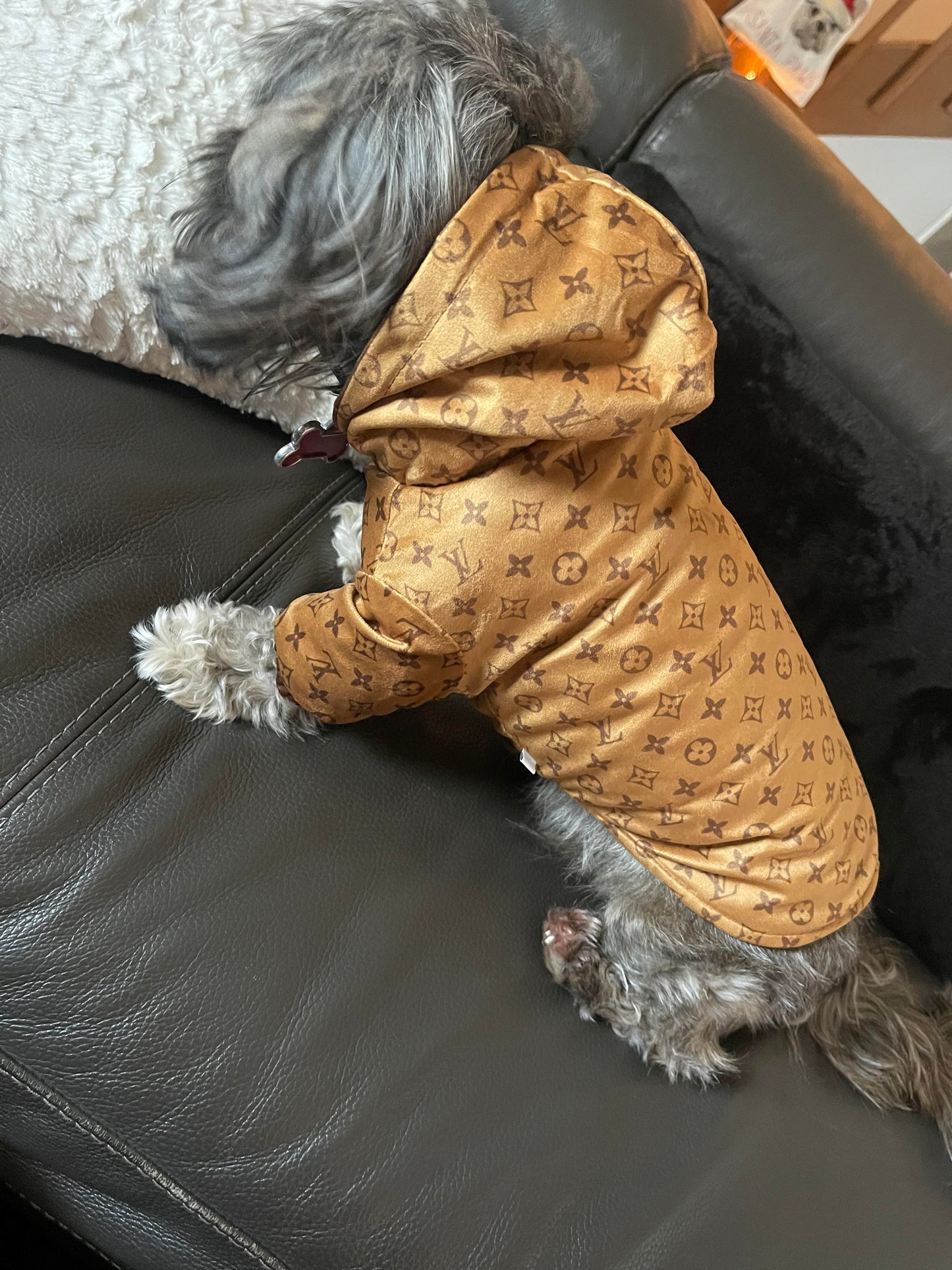 Reversible Chewy V Coat