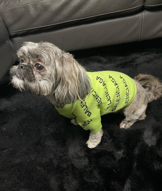 Pawlenciaga Sweater