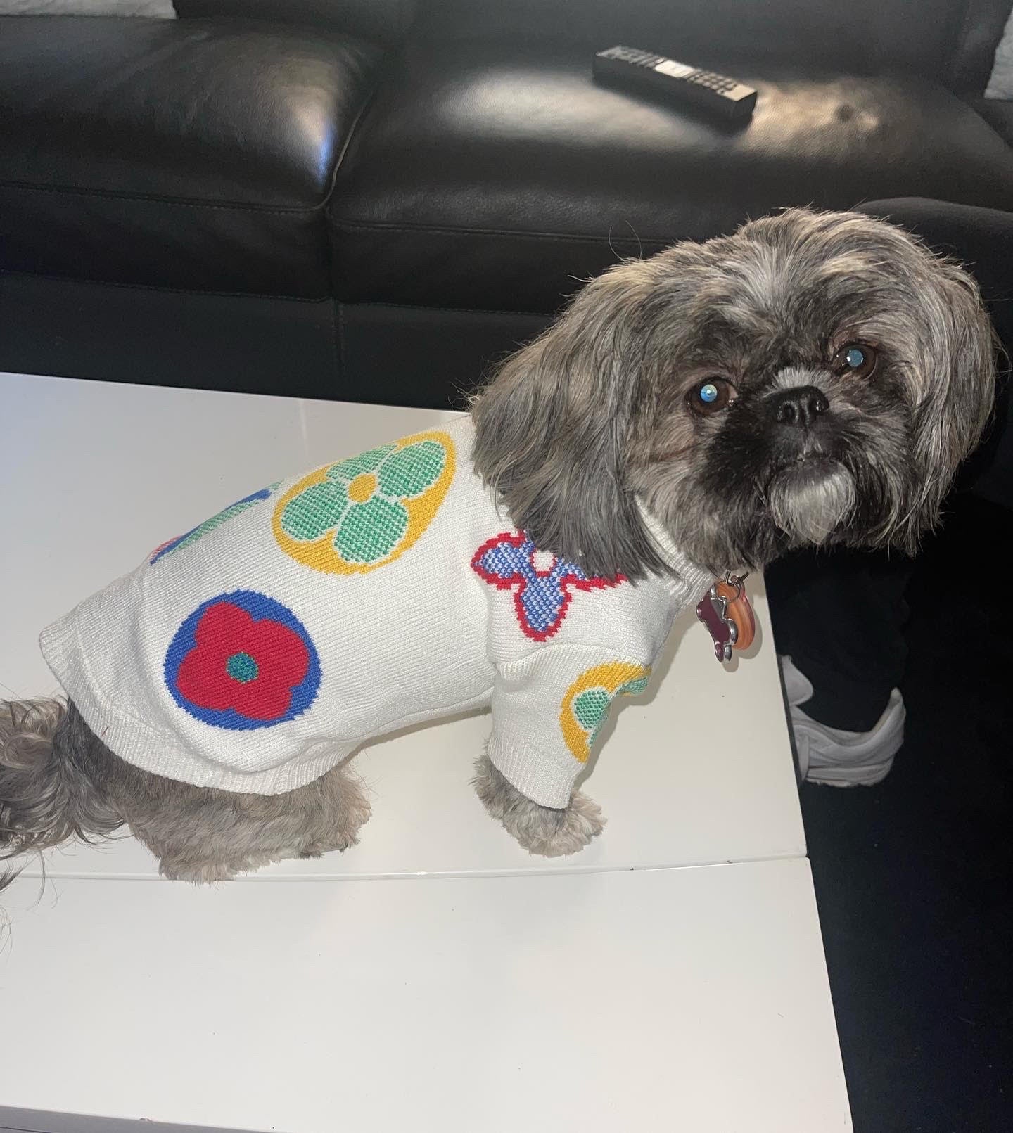 Multi-Color Chewy V Sweater
